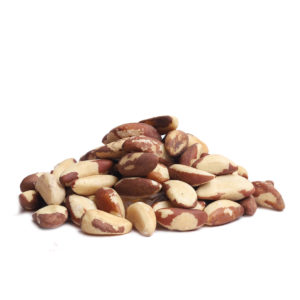 Brazil Nut