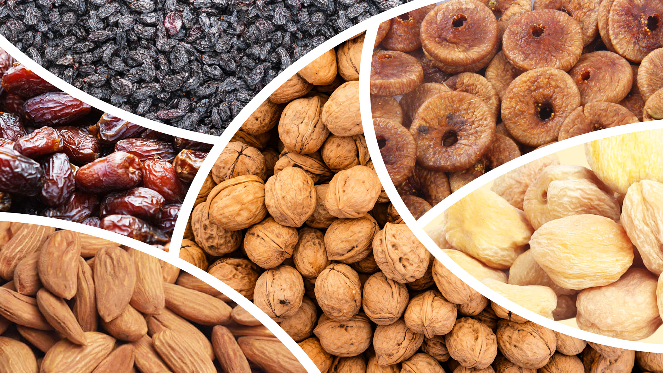 Monsoon Warriors: Which Dry Fruits Boost Immunity When the Rains Strike?